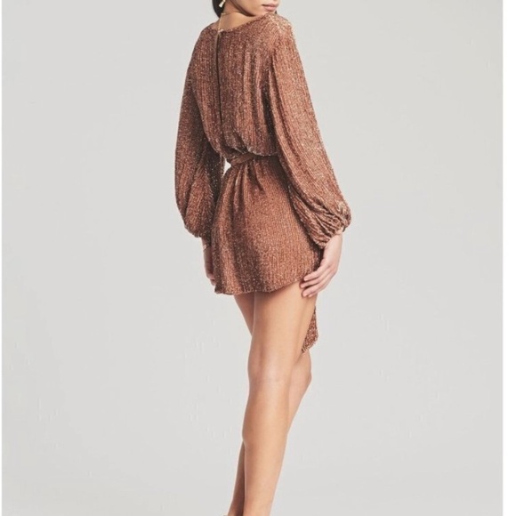 Retrofete Grace Sequin Long Sleeve Mini Dress with Velvet Tie Belt Bronze SizeXS - Picture 3 of 14